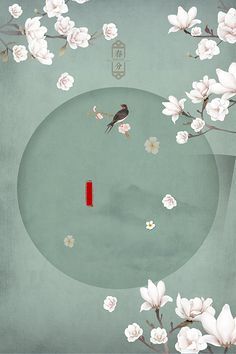 桃花源聚合破解版盒子